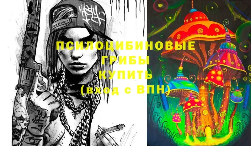 Псилоцибиновые грибы Psilocybe  Карачаевск 